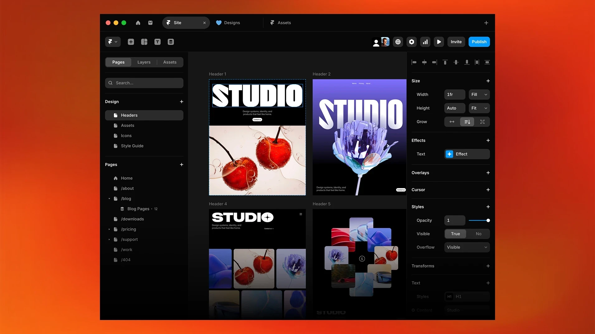 Interface de Framer.