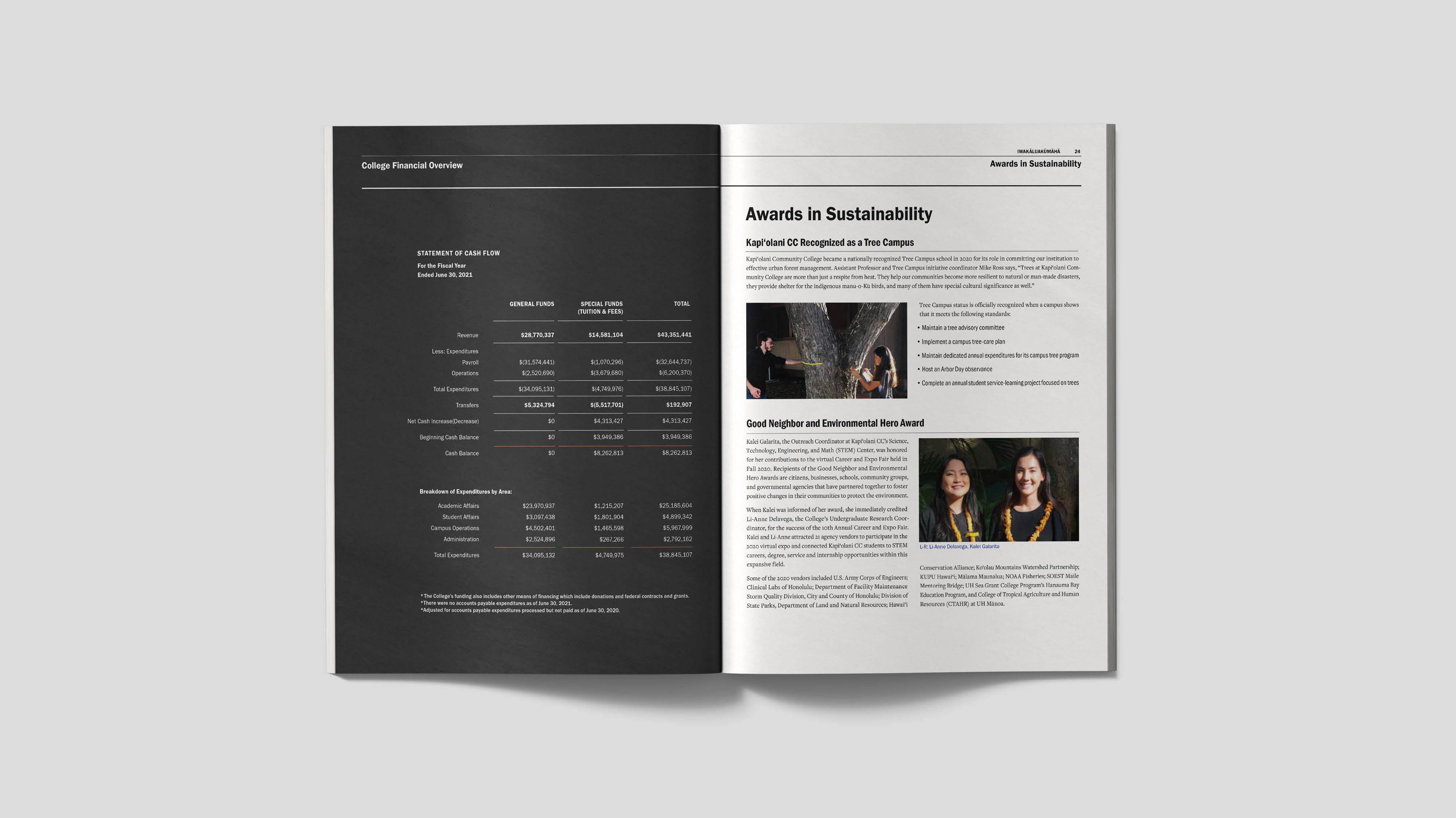 annualreport detail2