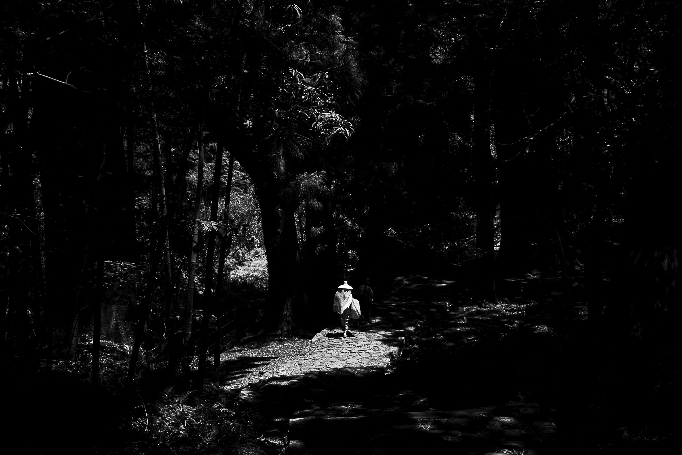 Black and white photograph of a person walking along a forest path surrounded by trees and deep shadows.