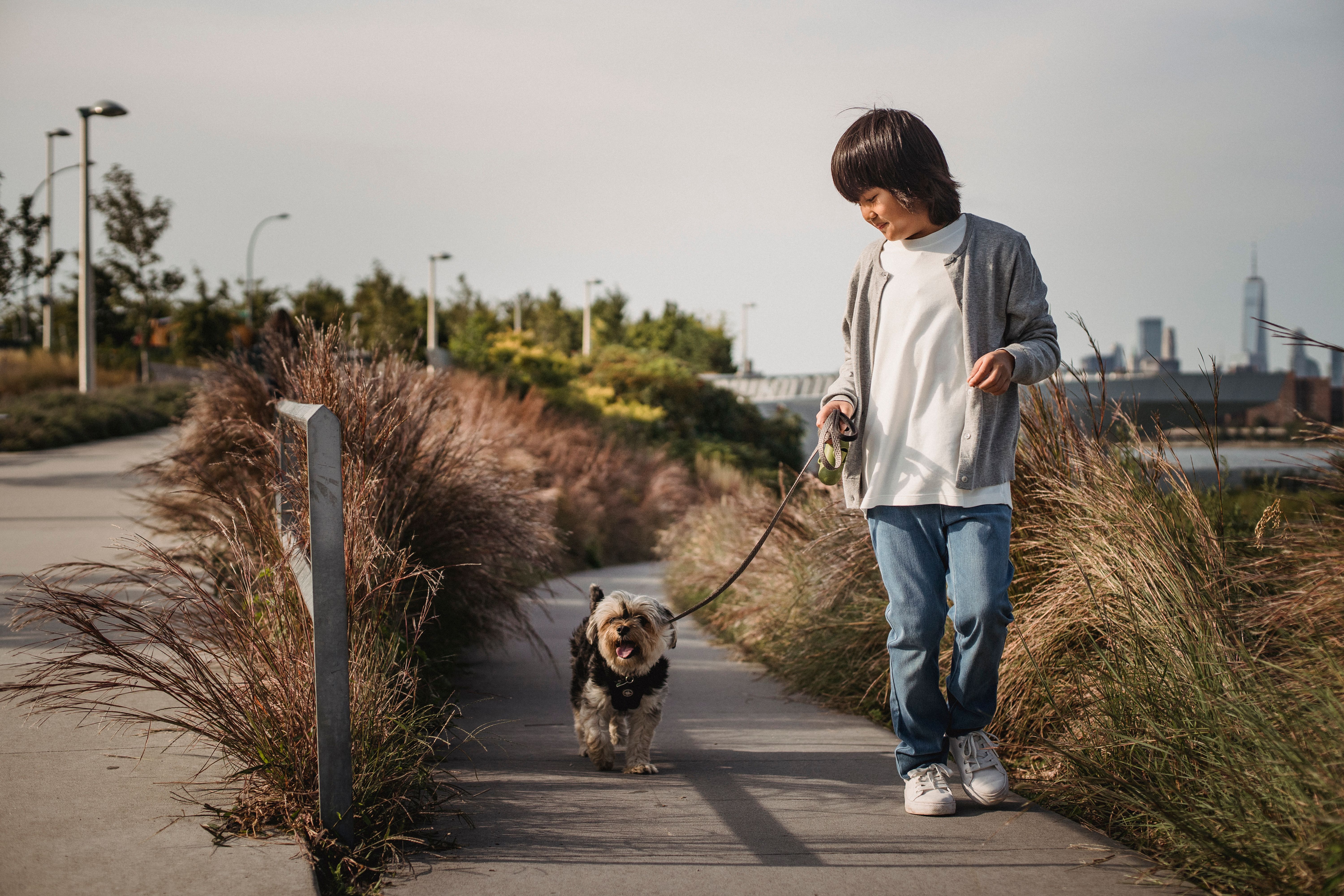 Small boy walks his small dog