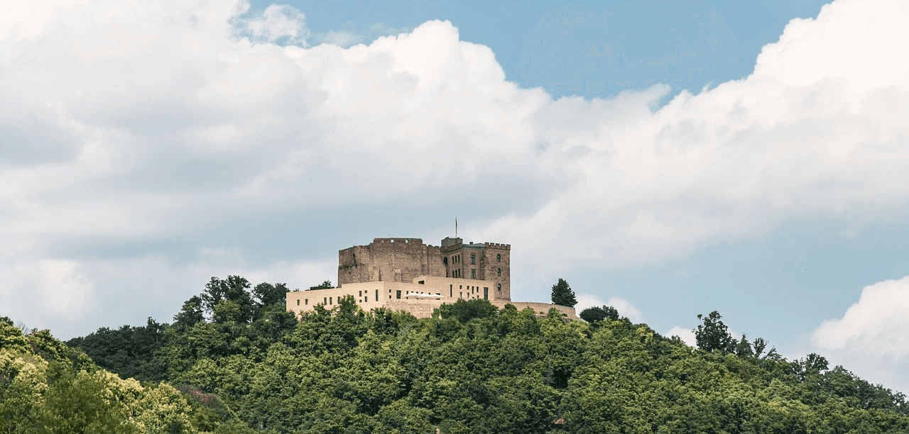 baumpflege Neustadt an der Weinstraße