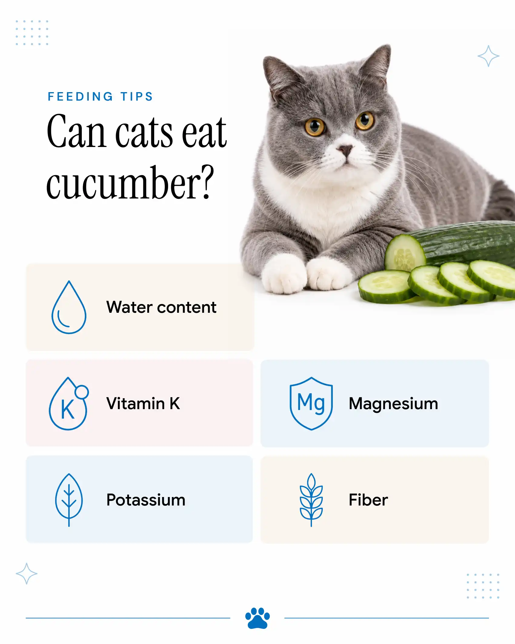 An infographic showing the benefits of cucumbers for cats.
