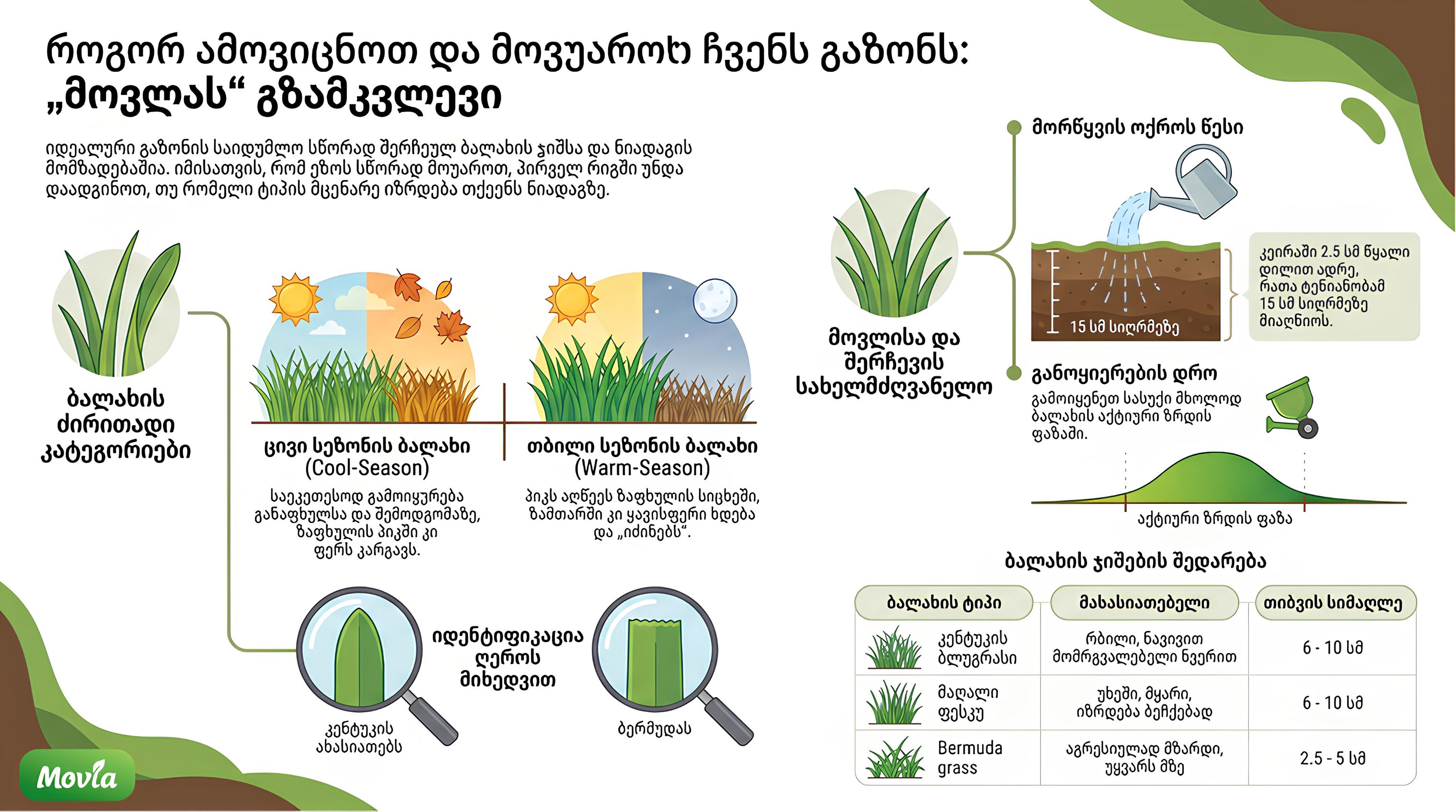 An infographic about the proper identification of lawn care and grass varieties (Bermuda, fescue).