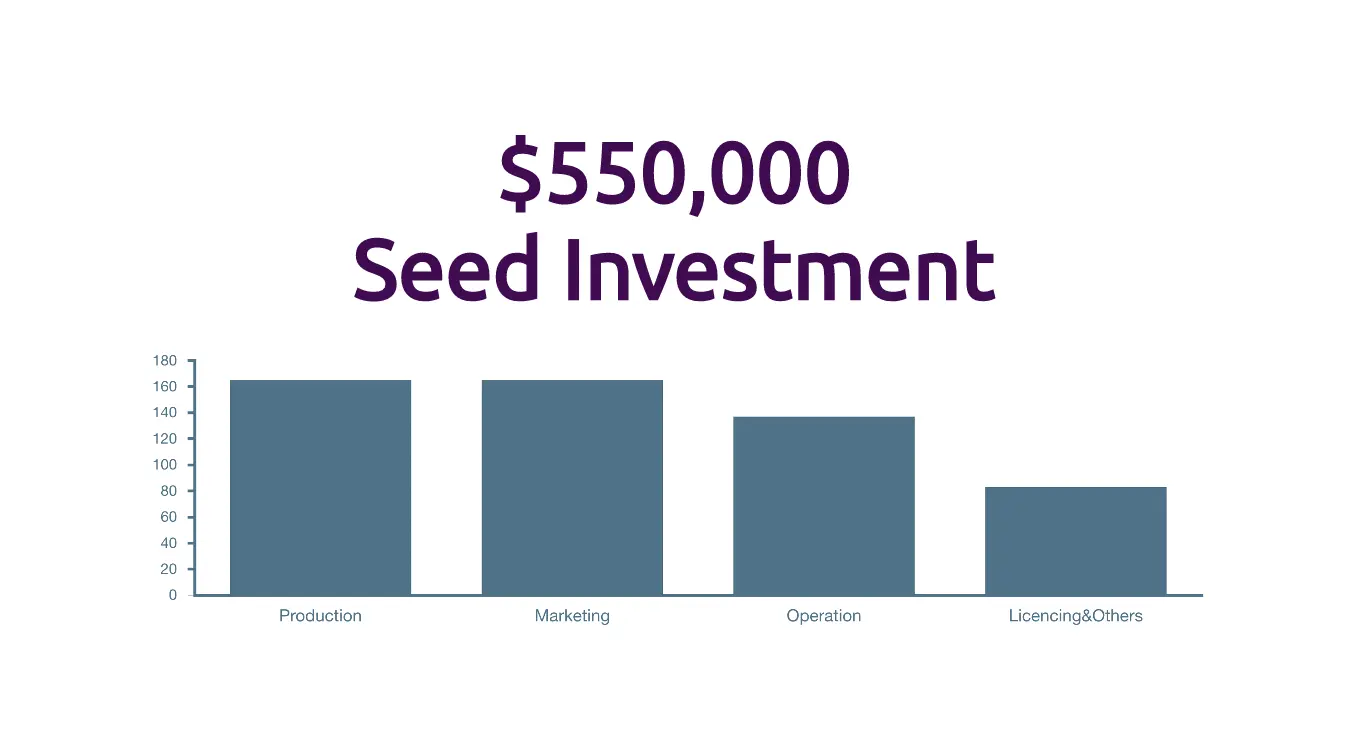 use of funds slide template