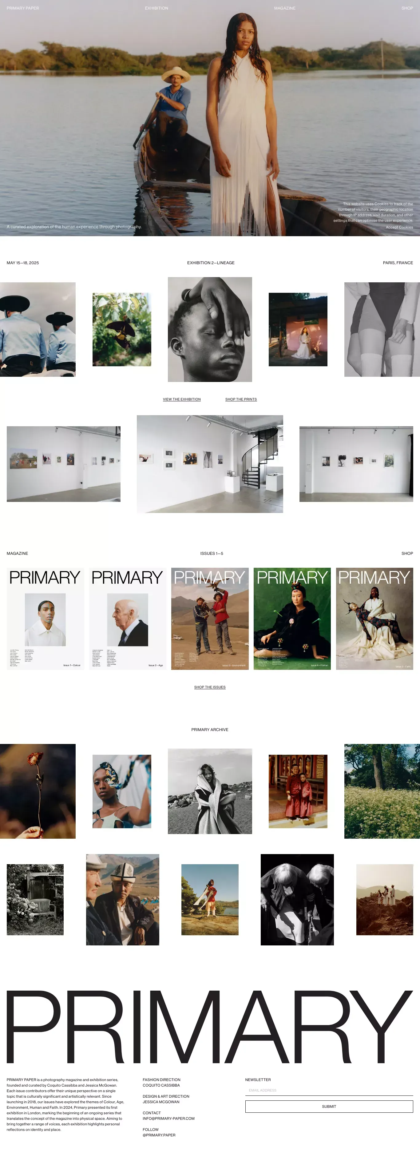 PRIMARY PAPER other page screenshot showcasing Art and Photography design