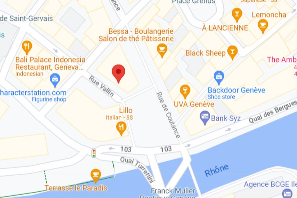 Google Maps - Les avantages du marketing numérique pour les petites entreprises Suisse