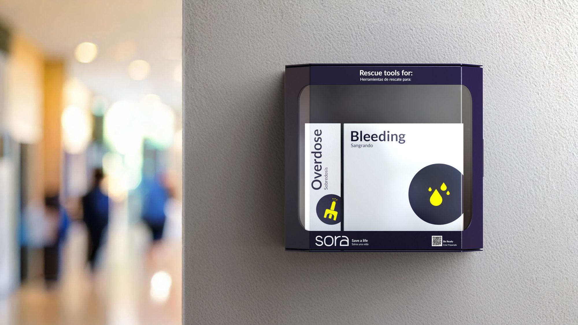 Screenshot of a Sora's networked box.