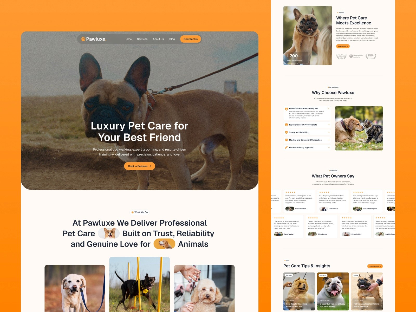 Pawluxe — 现代专业企业服务官网设计灵感
