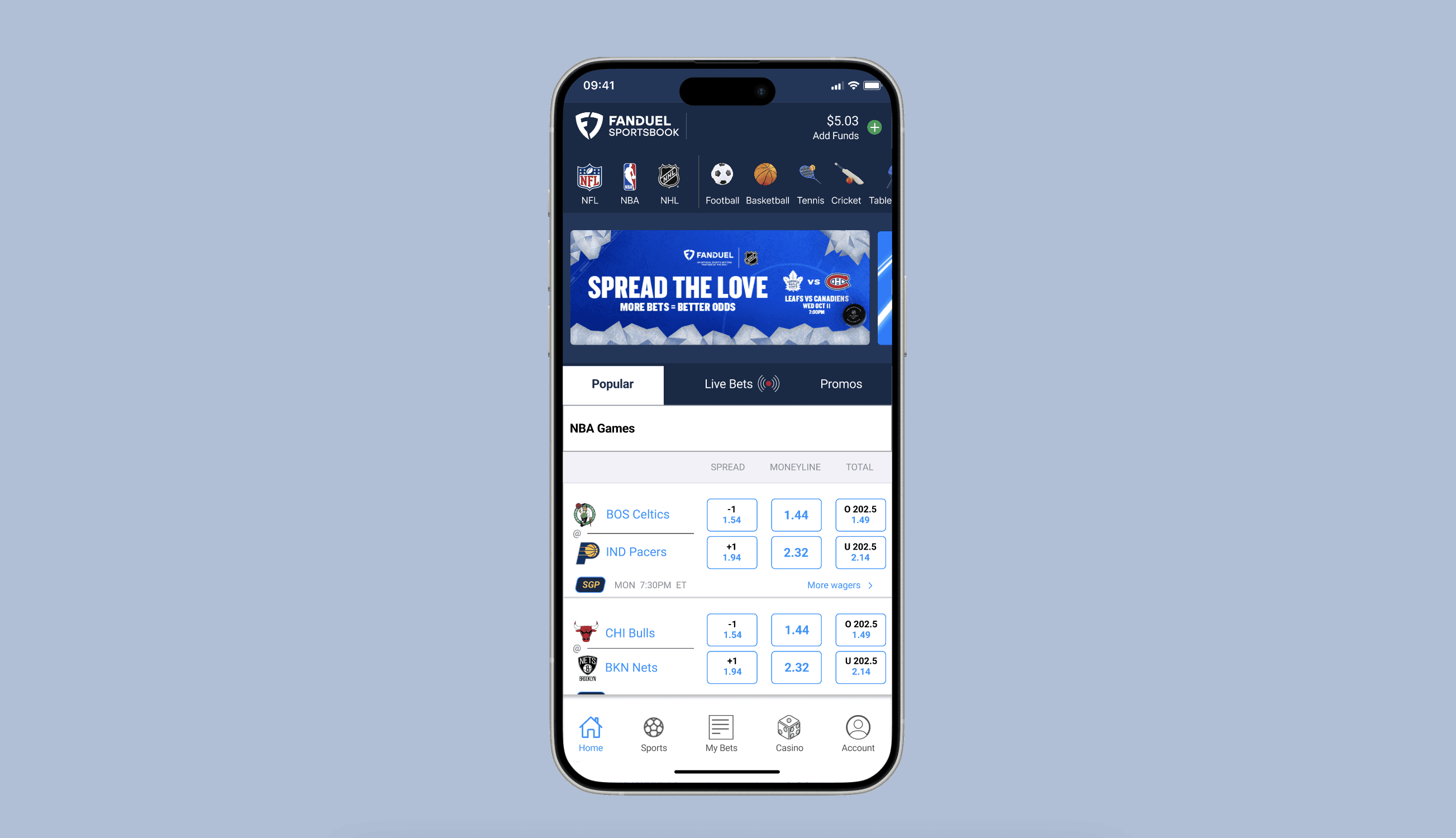 mockup of home screen