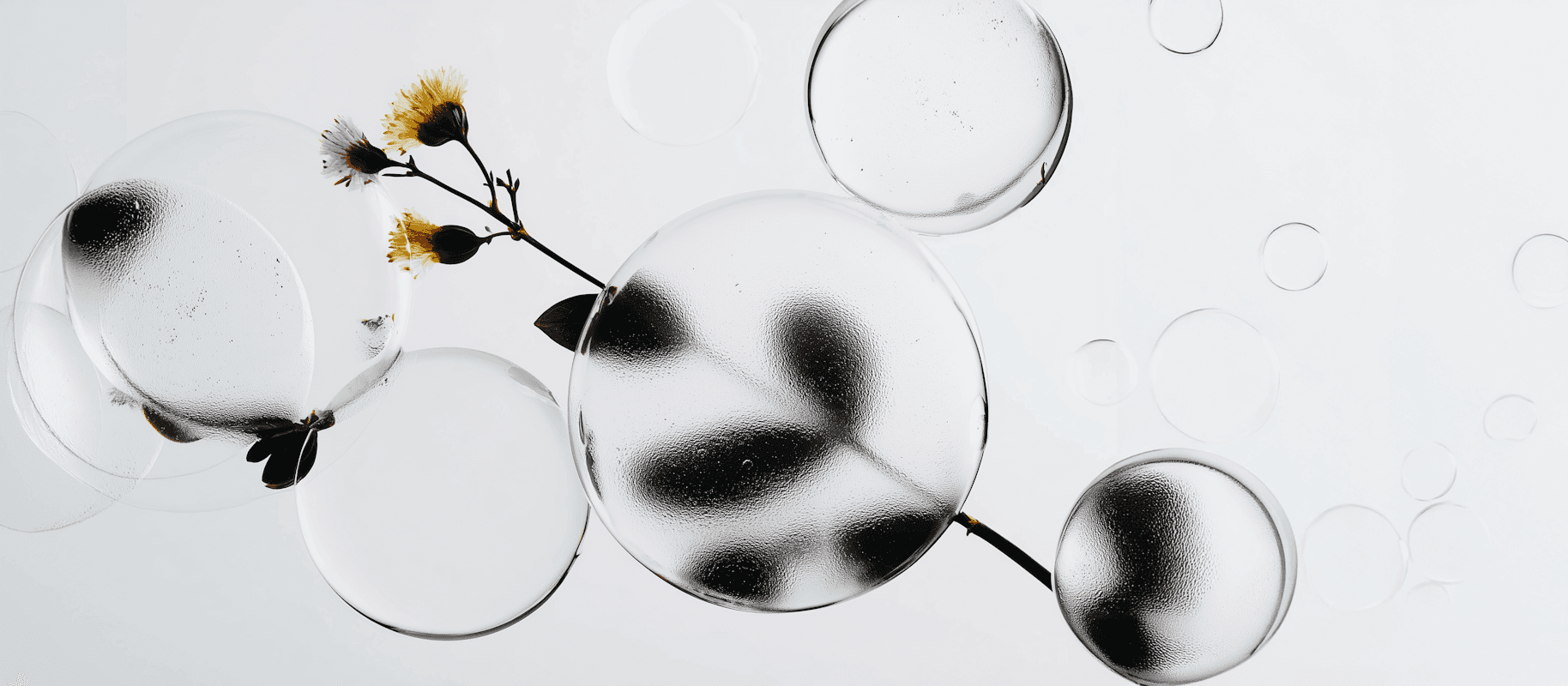 Bubbles and flowers