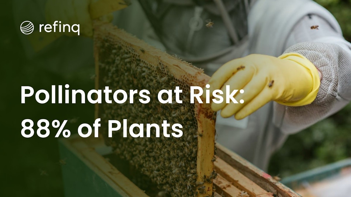 Pollinators at risk