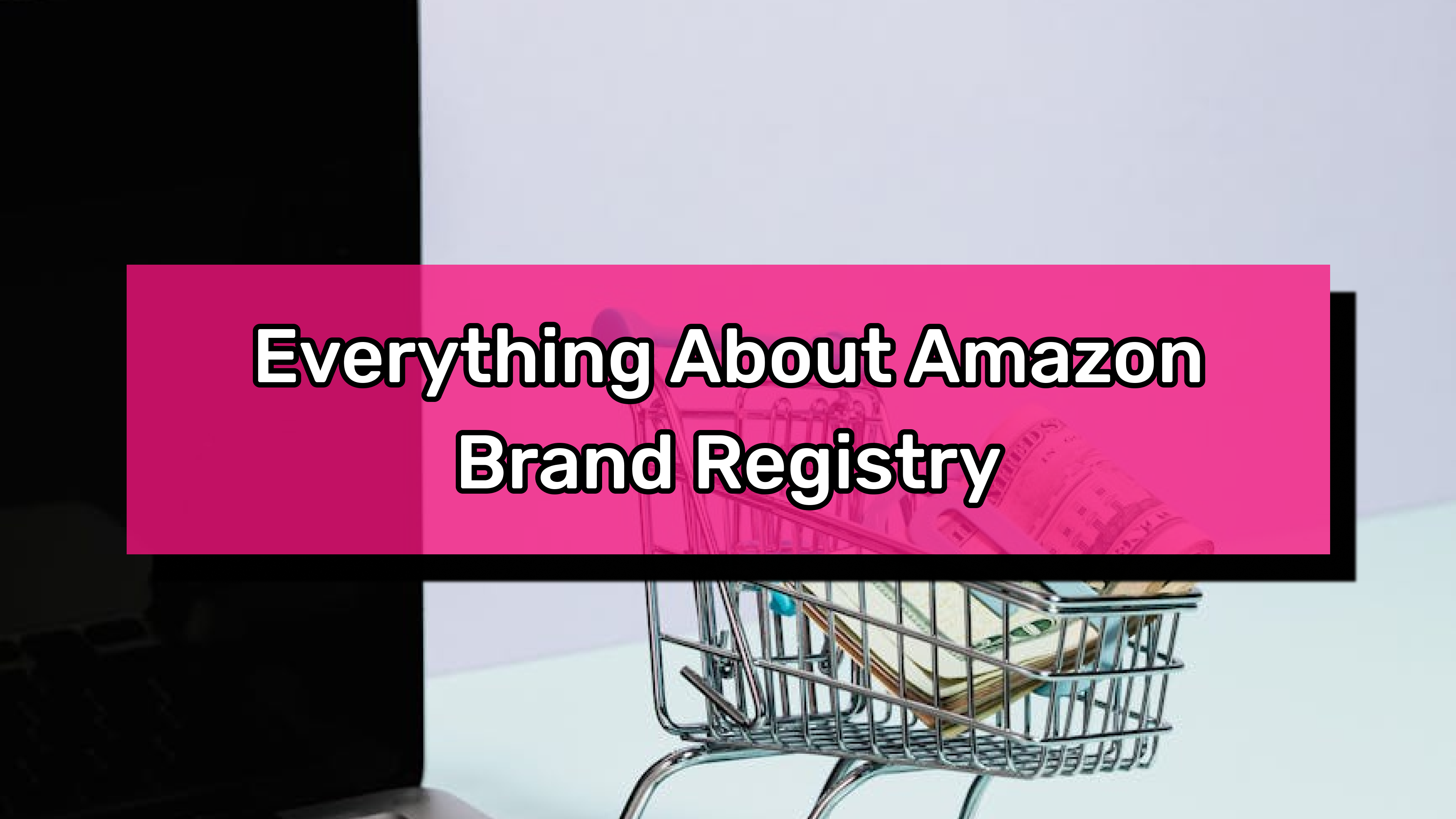 amazon brand registry