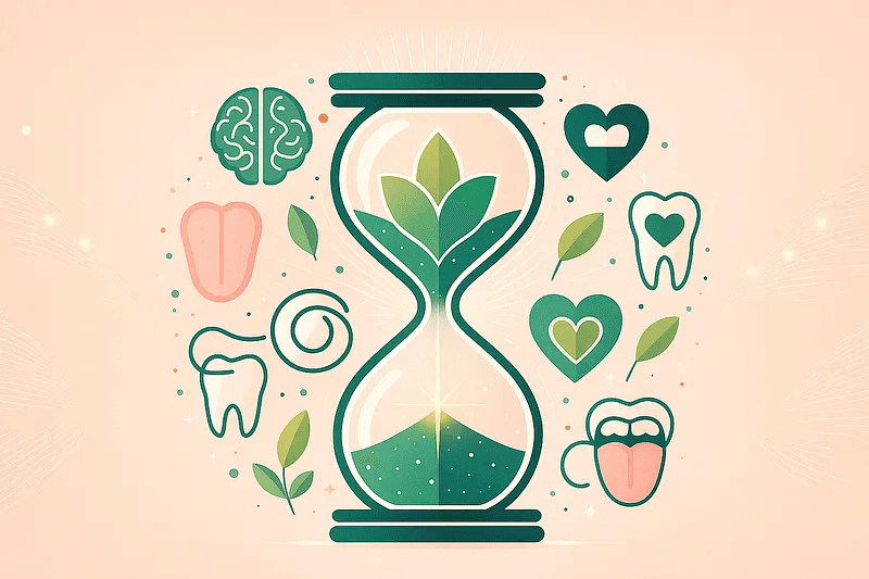 Snowy forest path with sun shining through trees