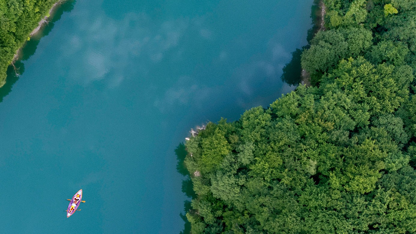 The Earth 