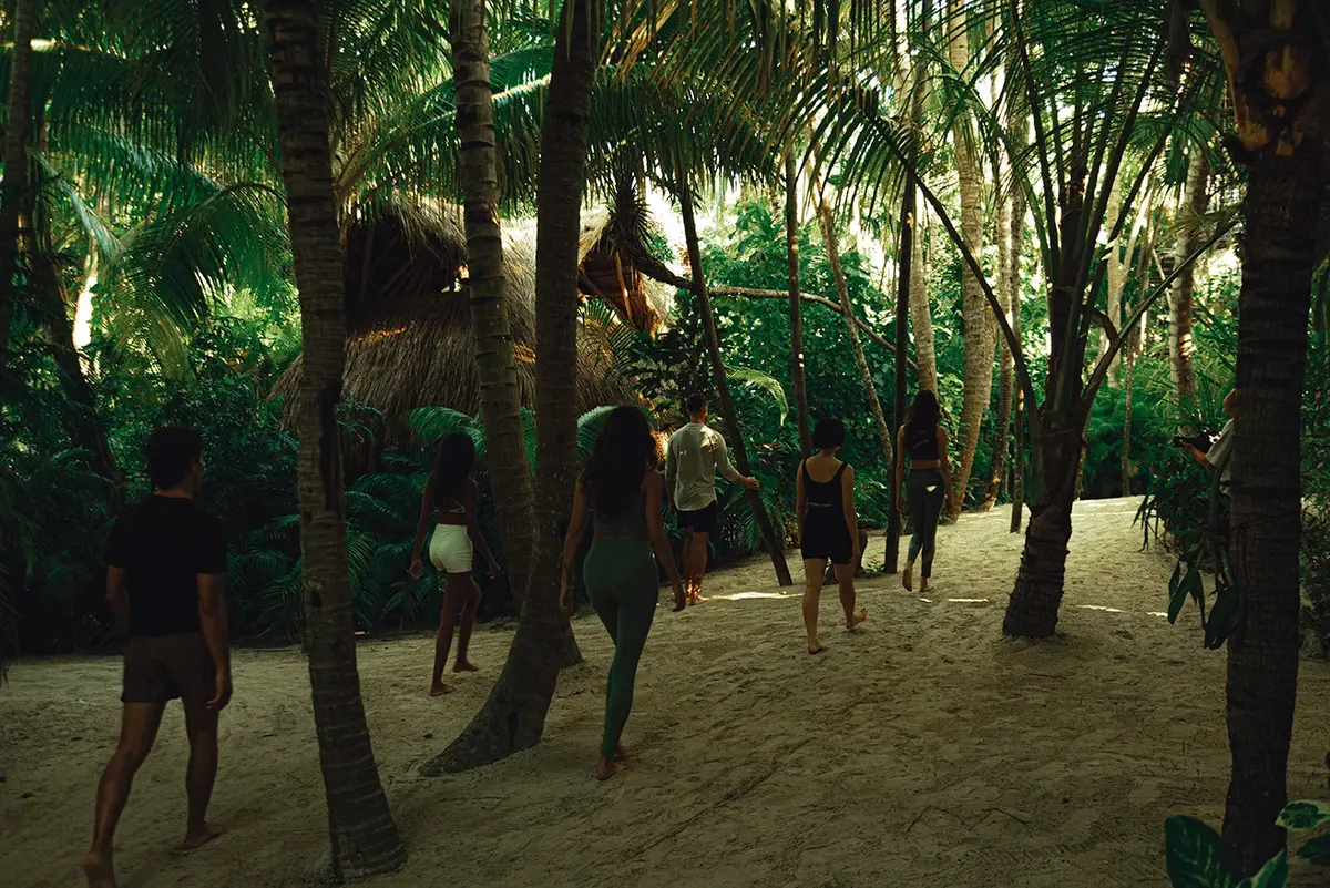 Morning yoga session with jungle view at Nômade Tulum, Mexico.
