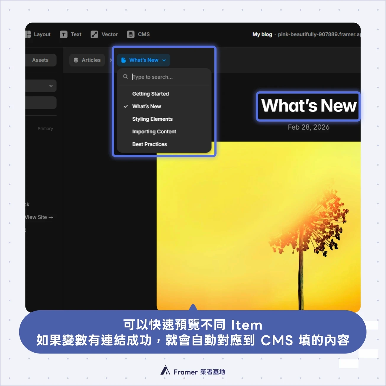 Framer Detail Page 左上角切換不同 CMS Item 預覽頁面內容截圖