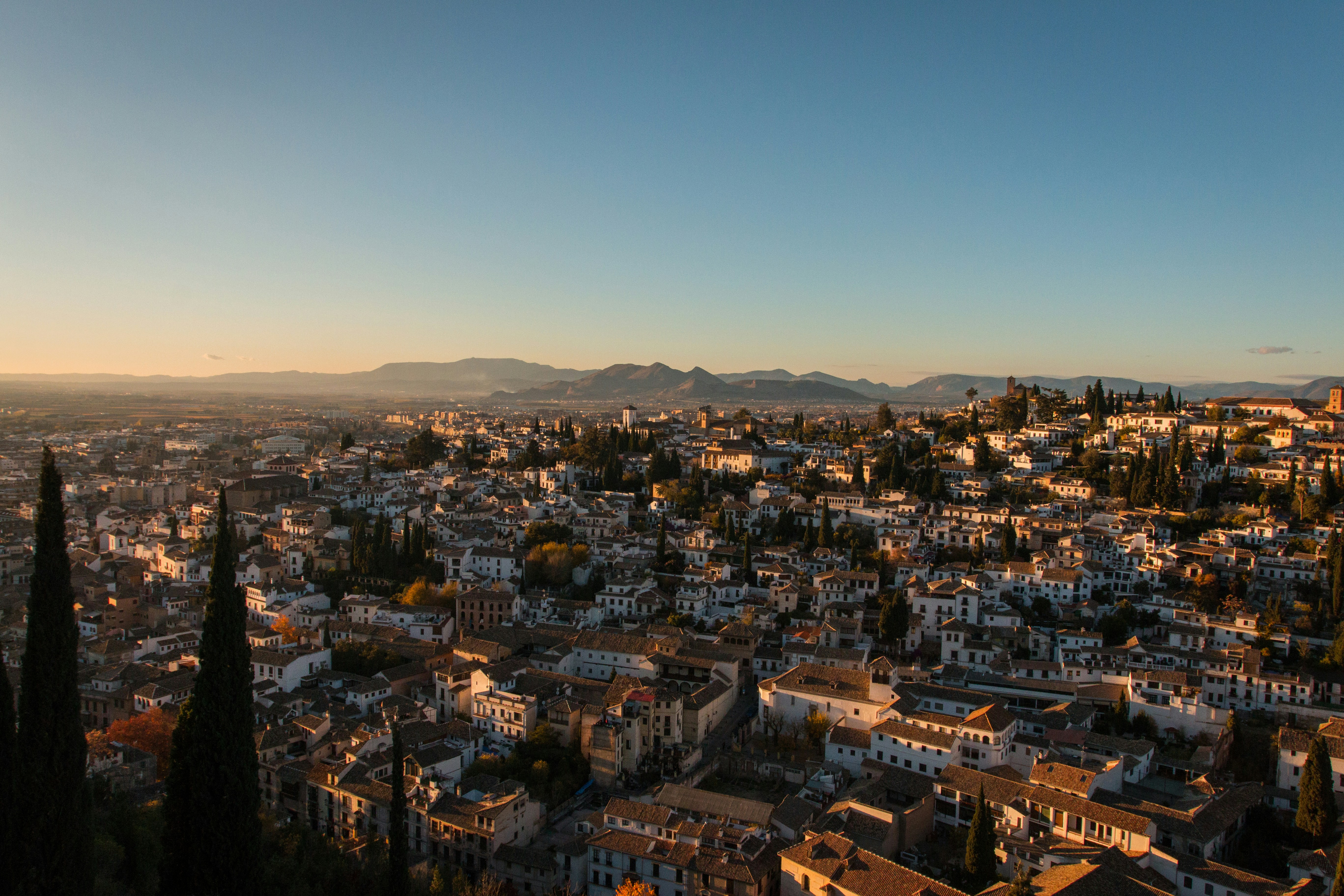 aerial view of city during daytime