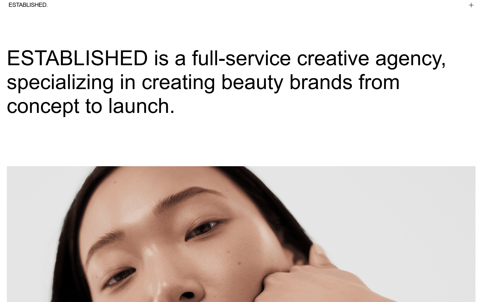 established homepage agency
