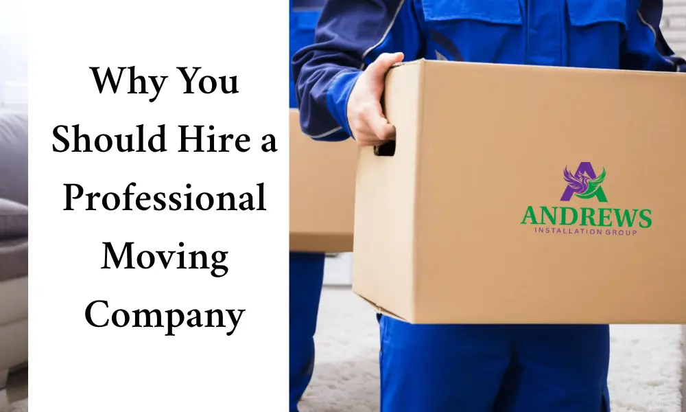 Why You Should Hire a Professional Moving Company