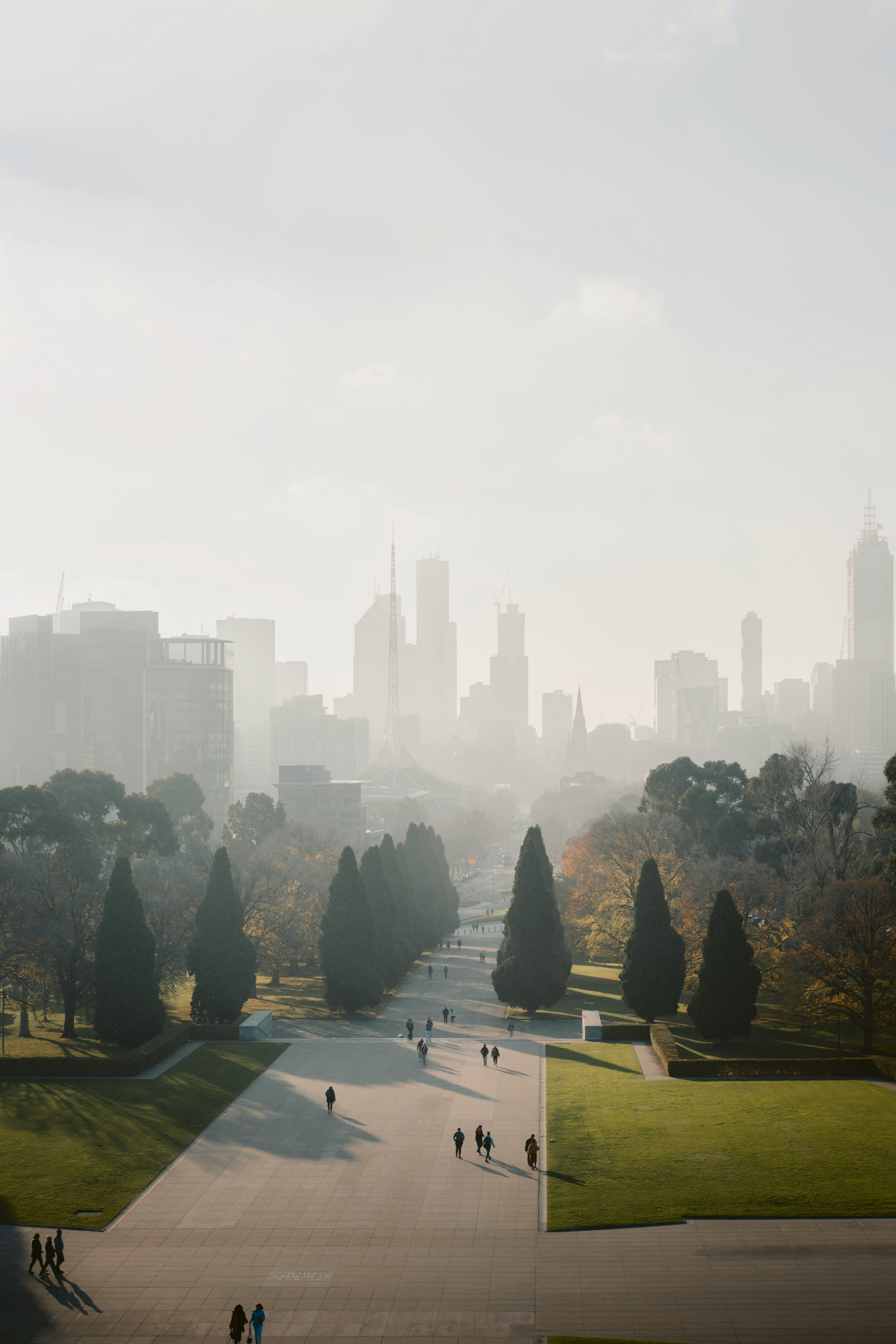 park with hazy city in distance