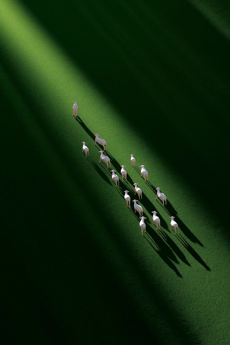 people gathering in a event