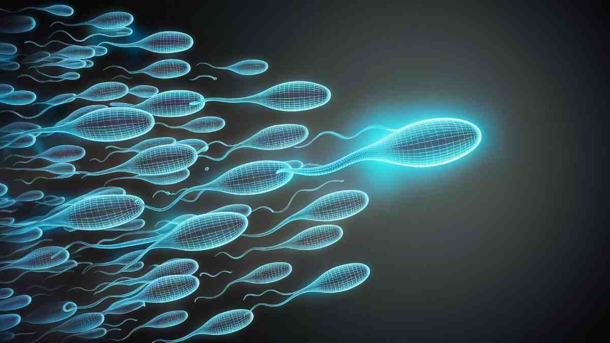 Sperm Cramps