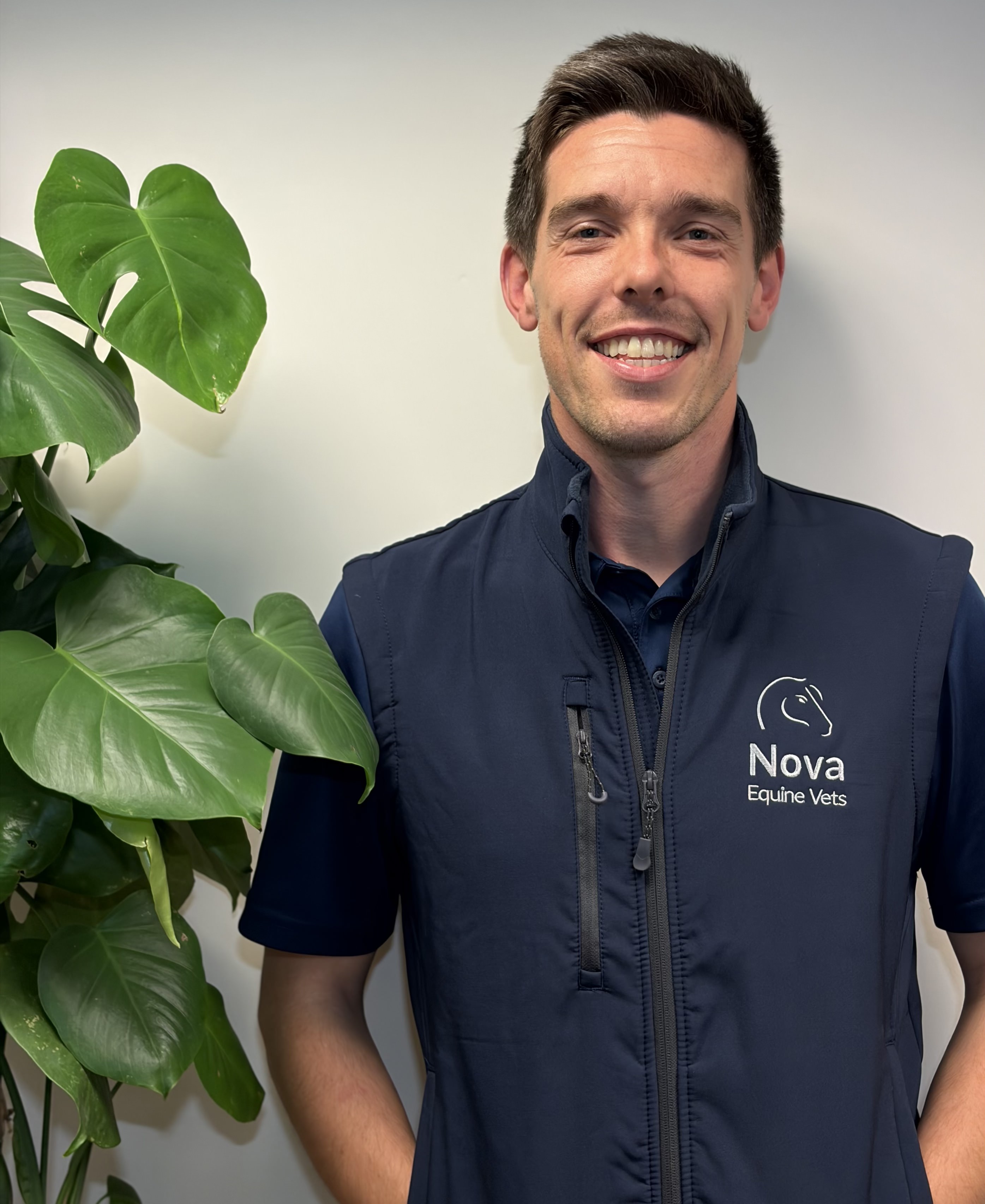 brown horse eating grass during cloudy sky