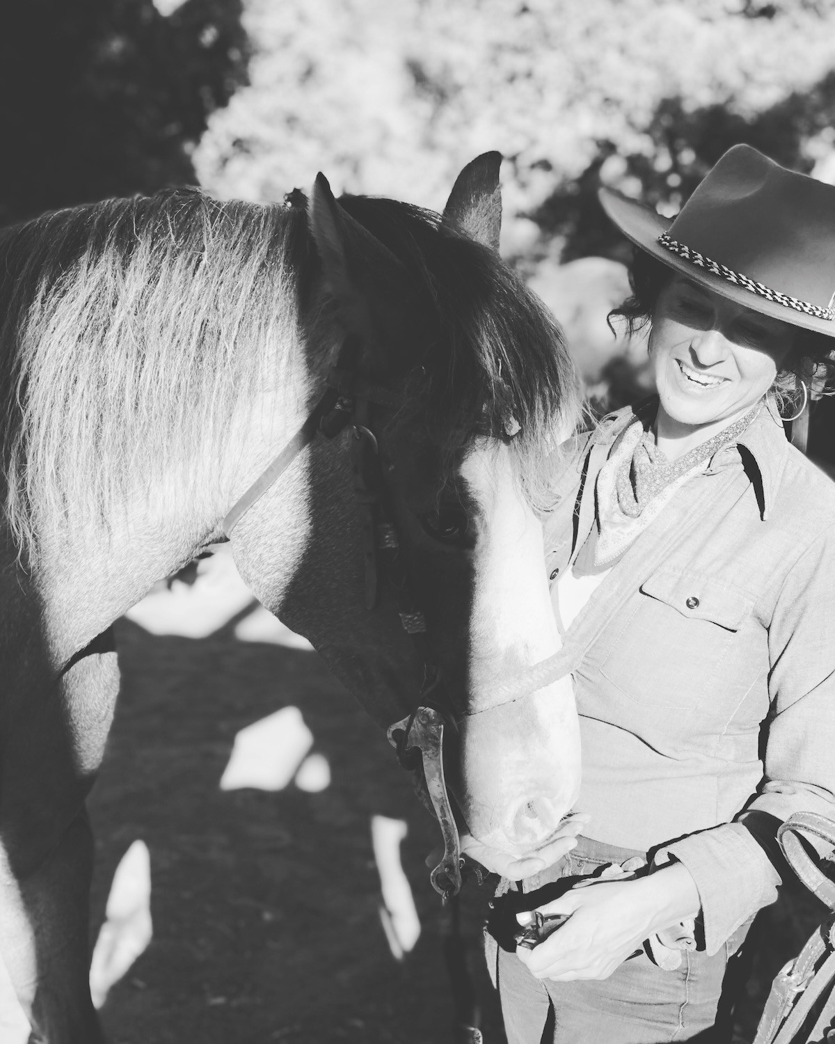 A horsewoman riding in a calm arena setting