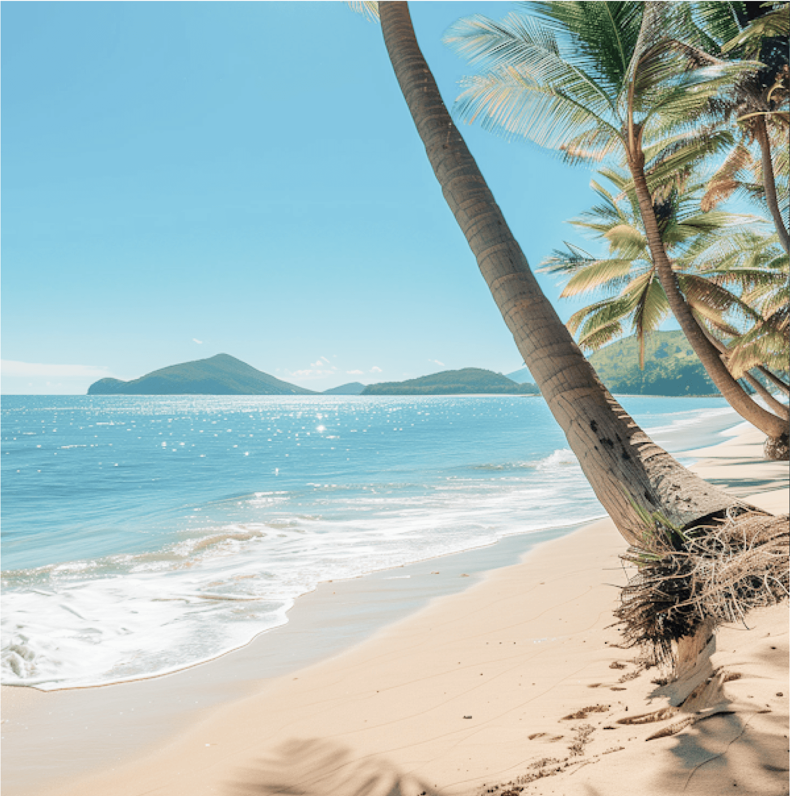 Tropical beach with palm trees, calm waves, and distant green islands