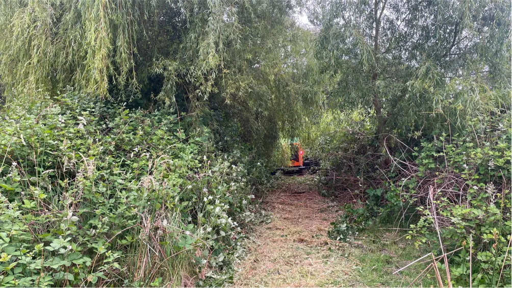 Clearing overgrowth slopes using advanced equipment