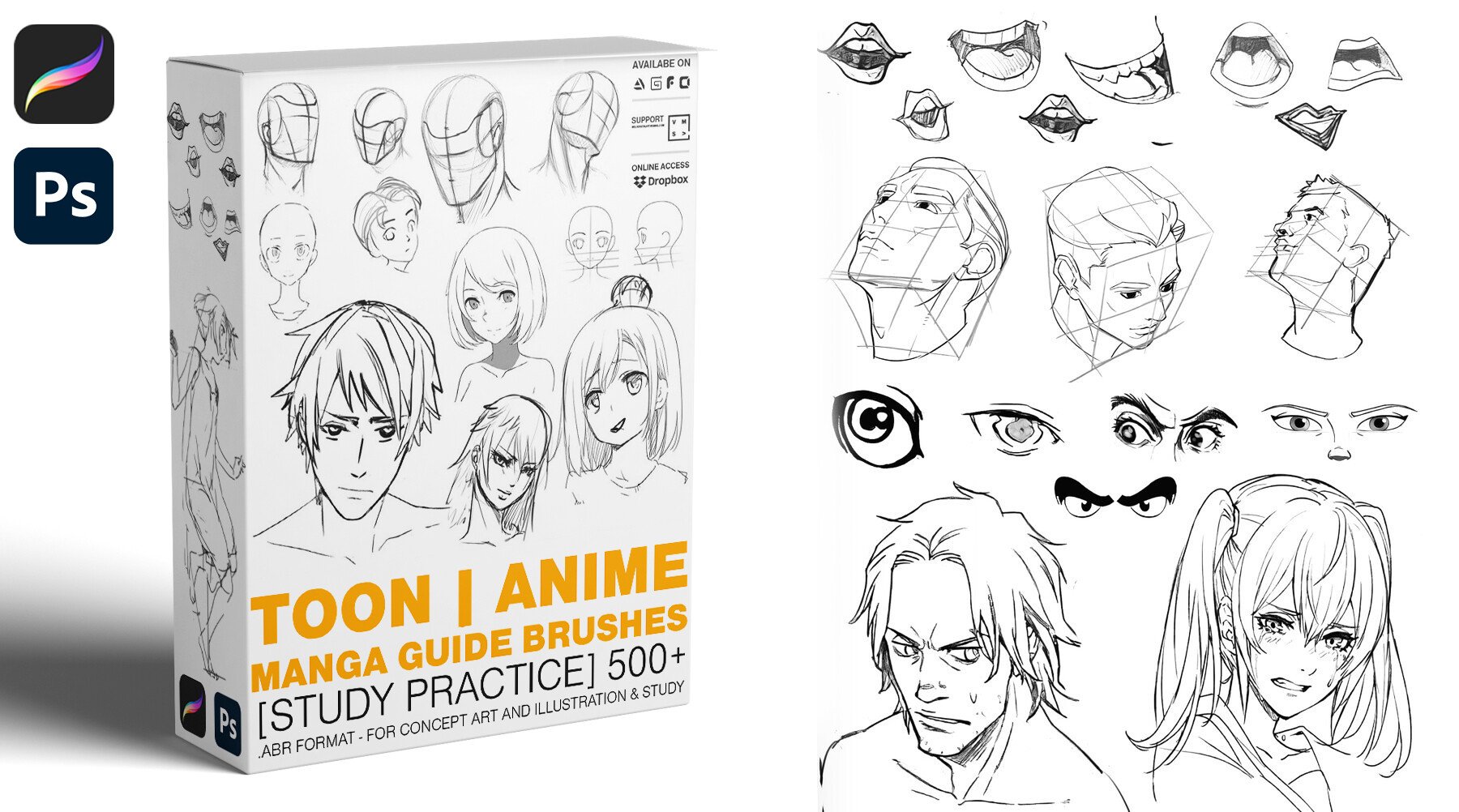 TOON | ANIME MANGA GUIDE BRUSHES 