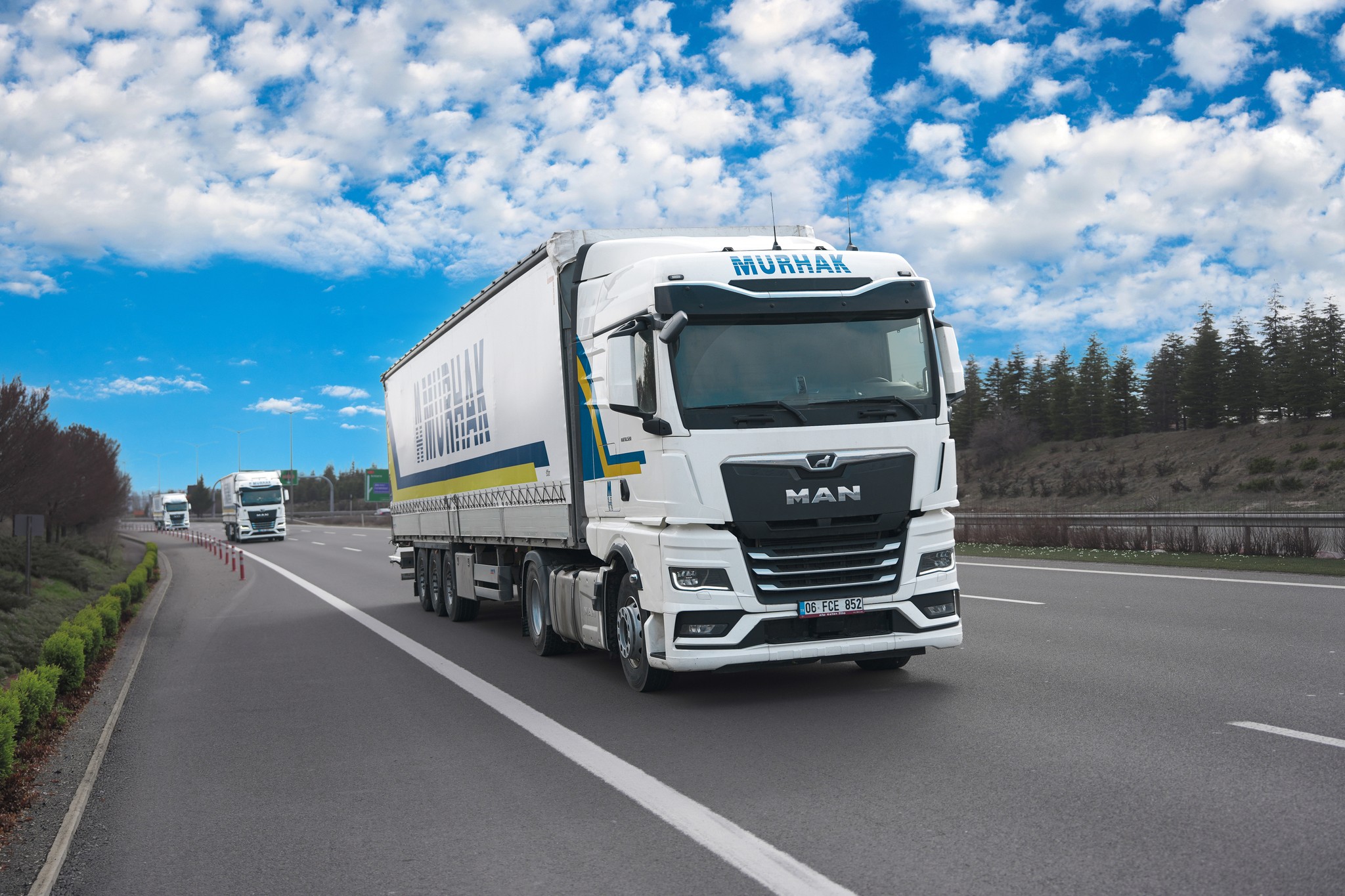 Mobile alert notification