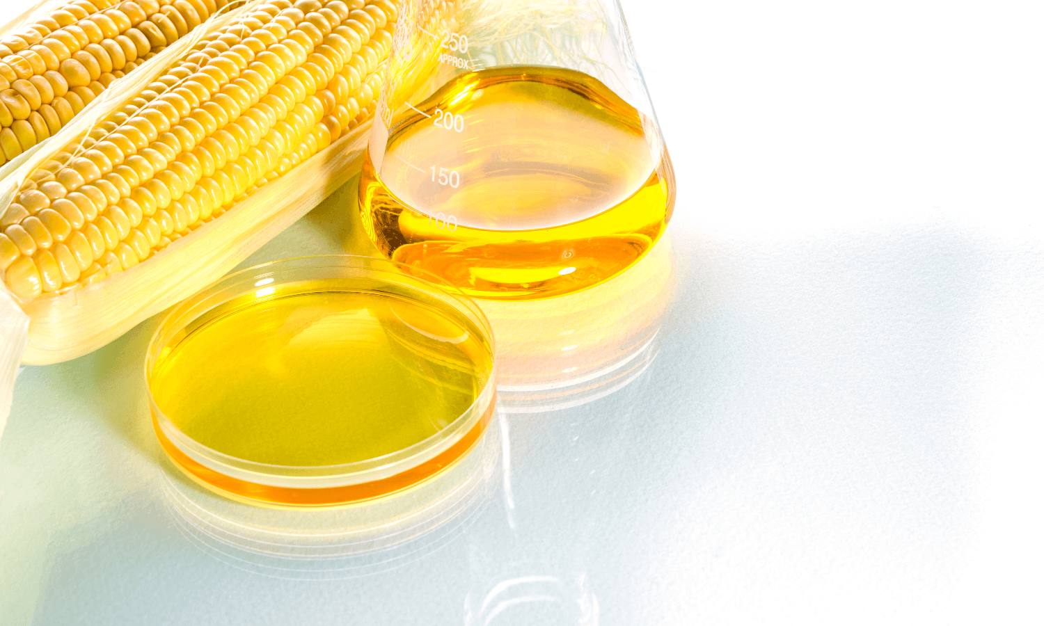 High fructose corn syrup