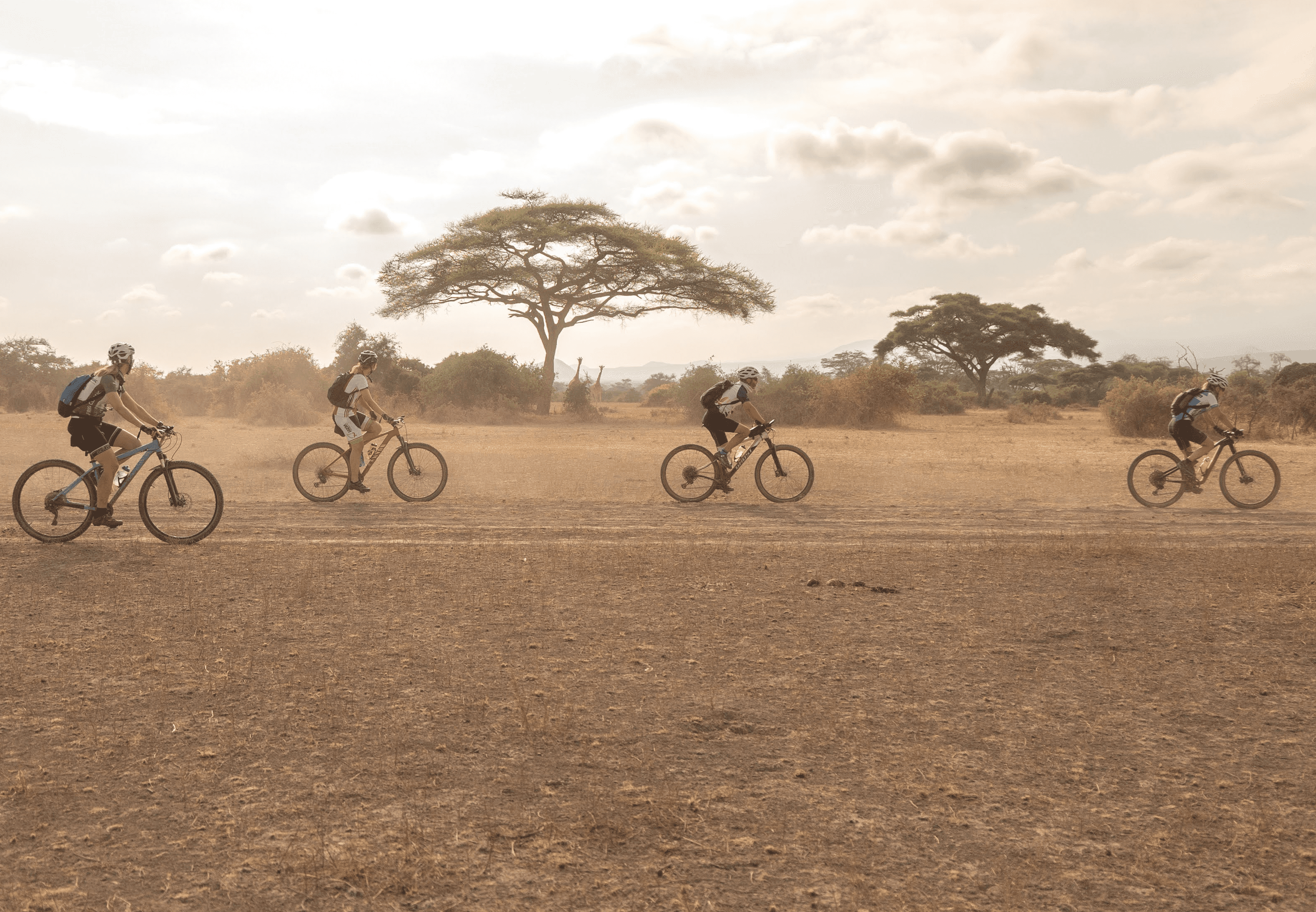 Deelnemers Africa Classic