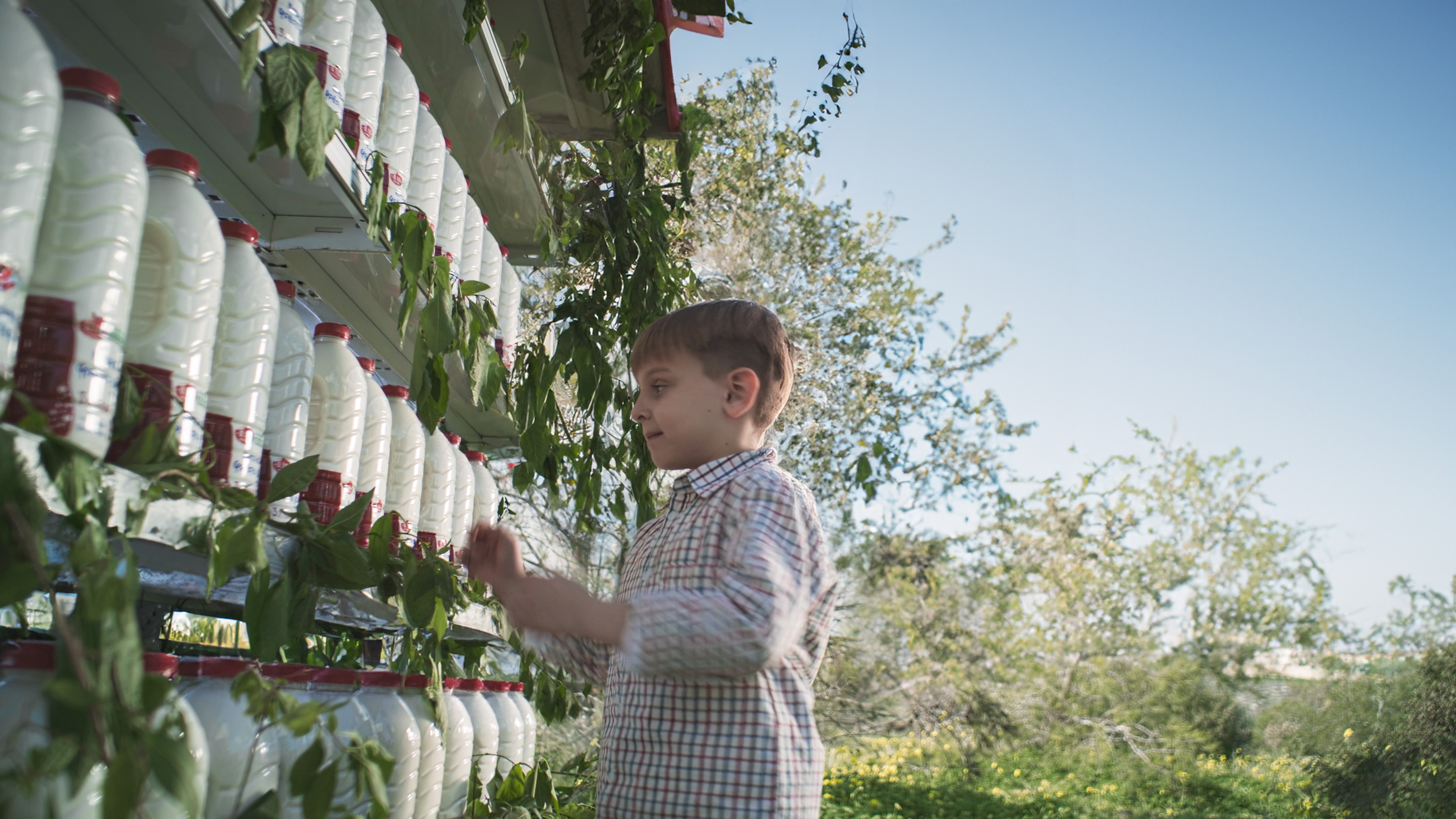 A child is taking a bottle of milk from the firdge in the nature