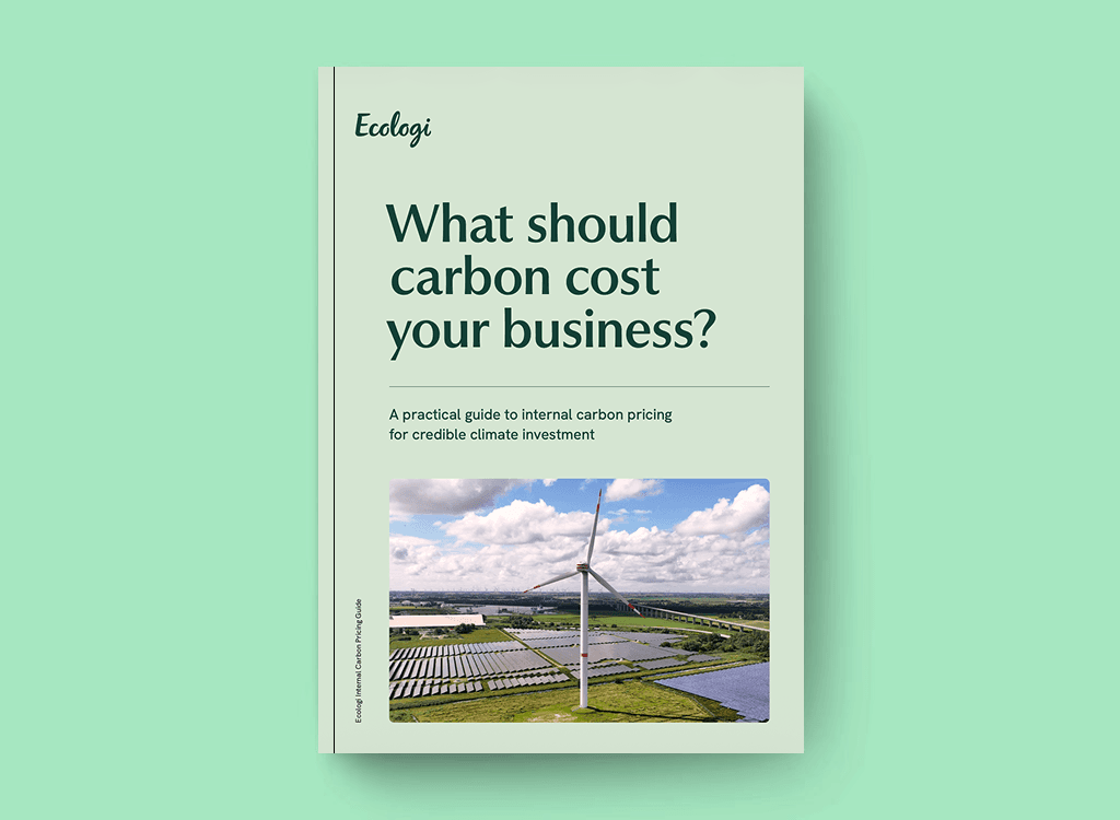 What should carbon cost your business?