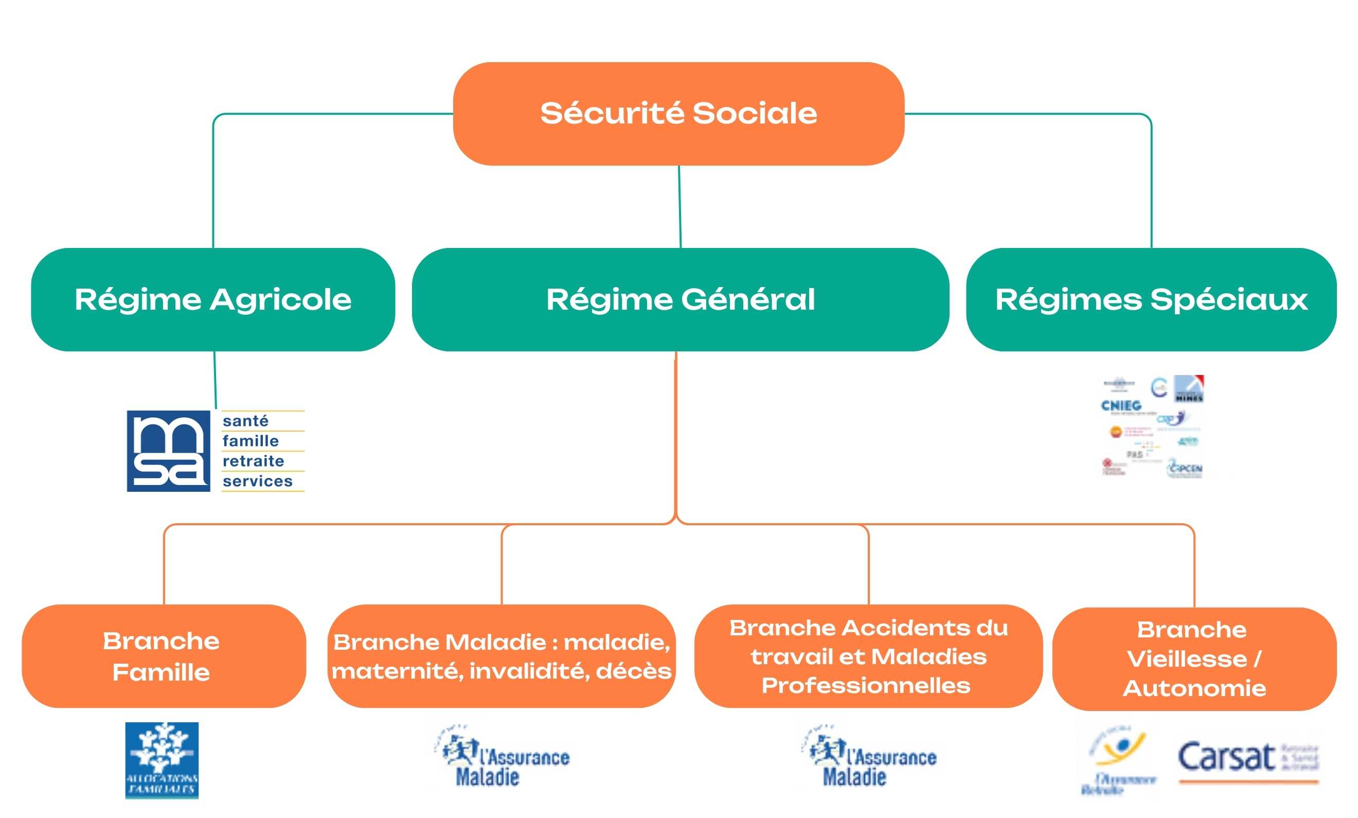 Schéma des regimes obligatoires de Sécurité Sociale en France