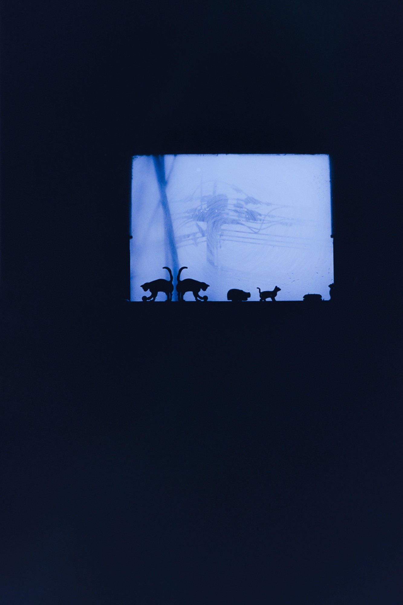 Taisei Matsumoto, 2023 exhibition view 16