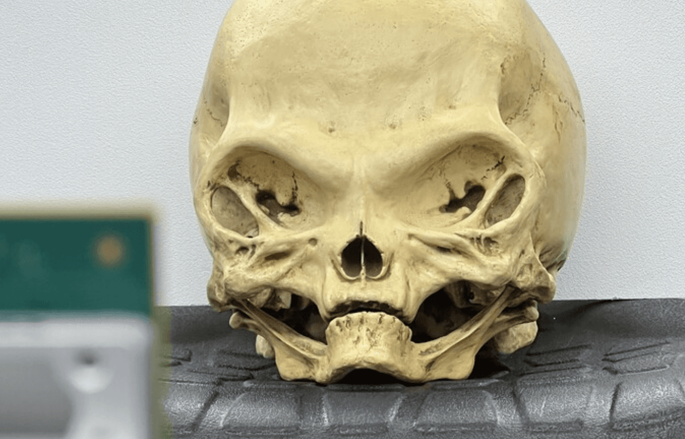 Ancient alien skull used as test target for coherent imaging LiDAR with full on-chip beam steering. LiDAR chip is mounted on the green circuit board in the lower left.