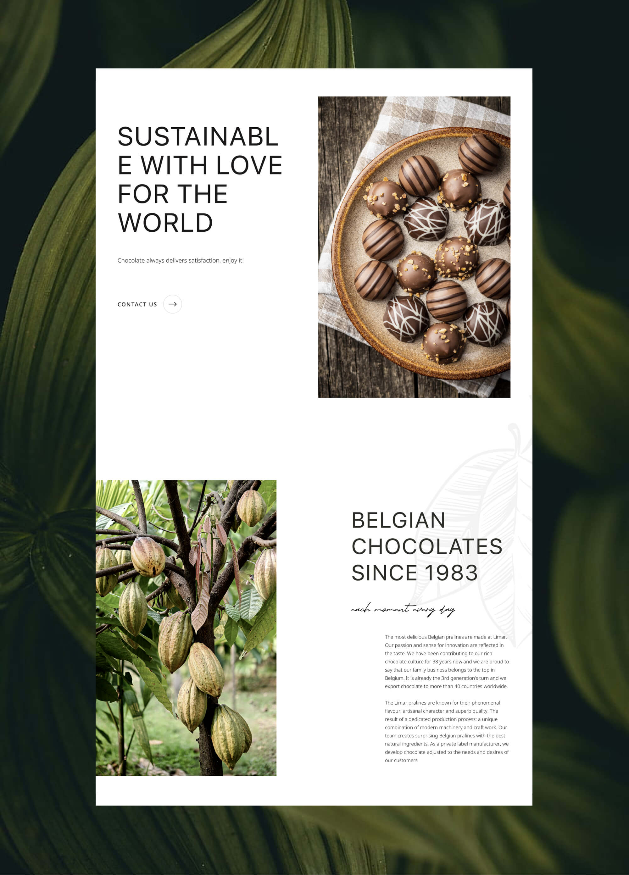 Sustainable web design showcasing Belgian chocolates