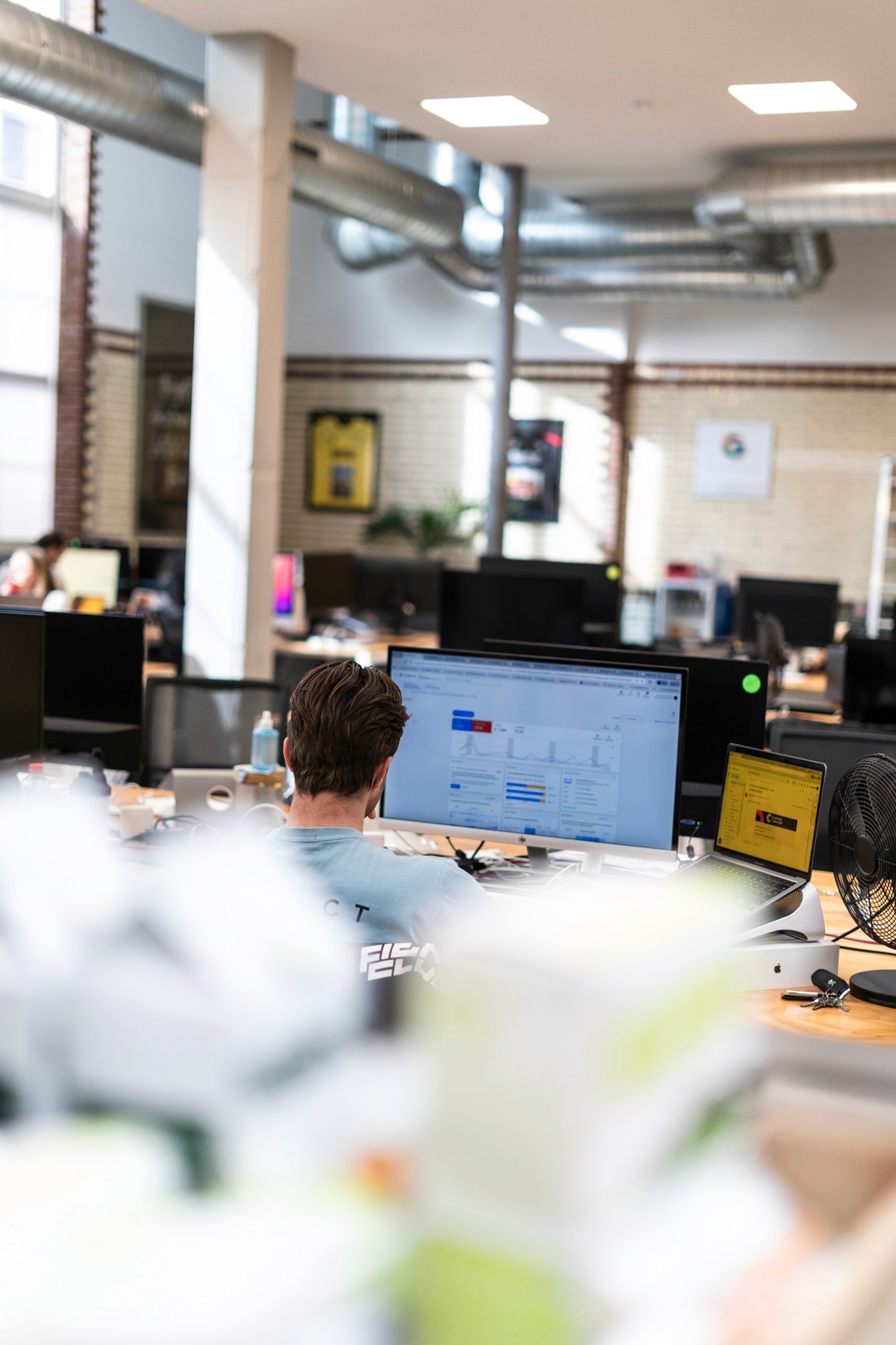 man working at a computer, slightly obscured by flowers