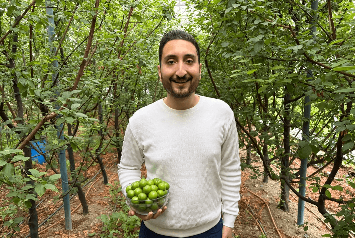 Ziraat mühendisi Mustafa Kutay Ası, İznik’teki serada bir kâse taze yeşil erikle