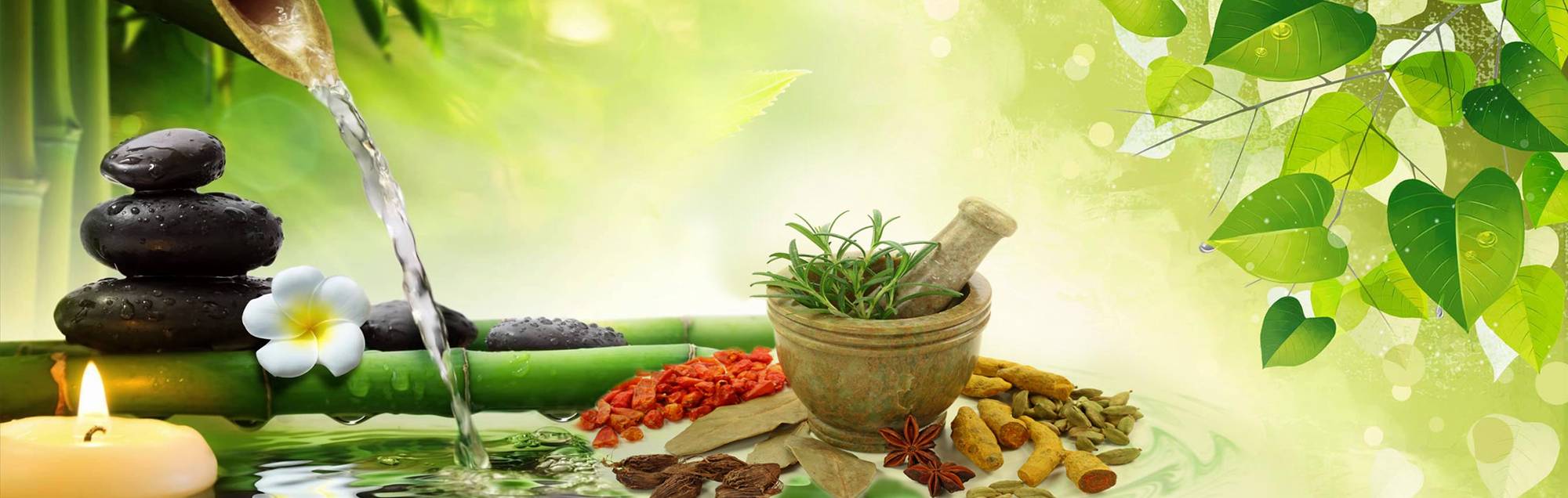 Panchakarma Treatment