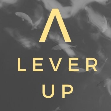 lever up newsletter