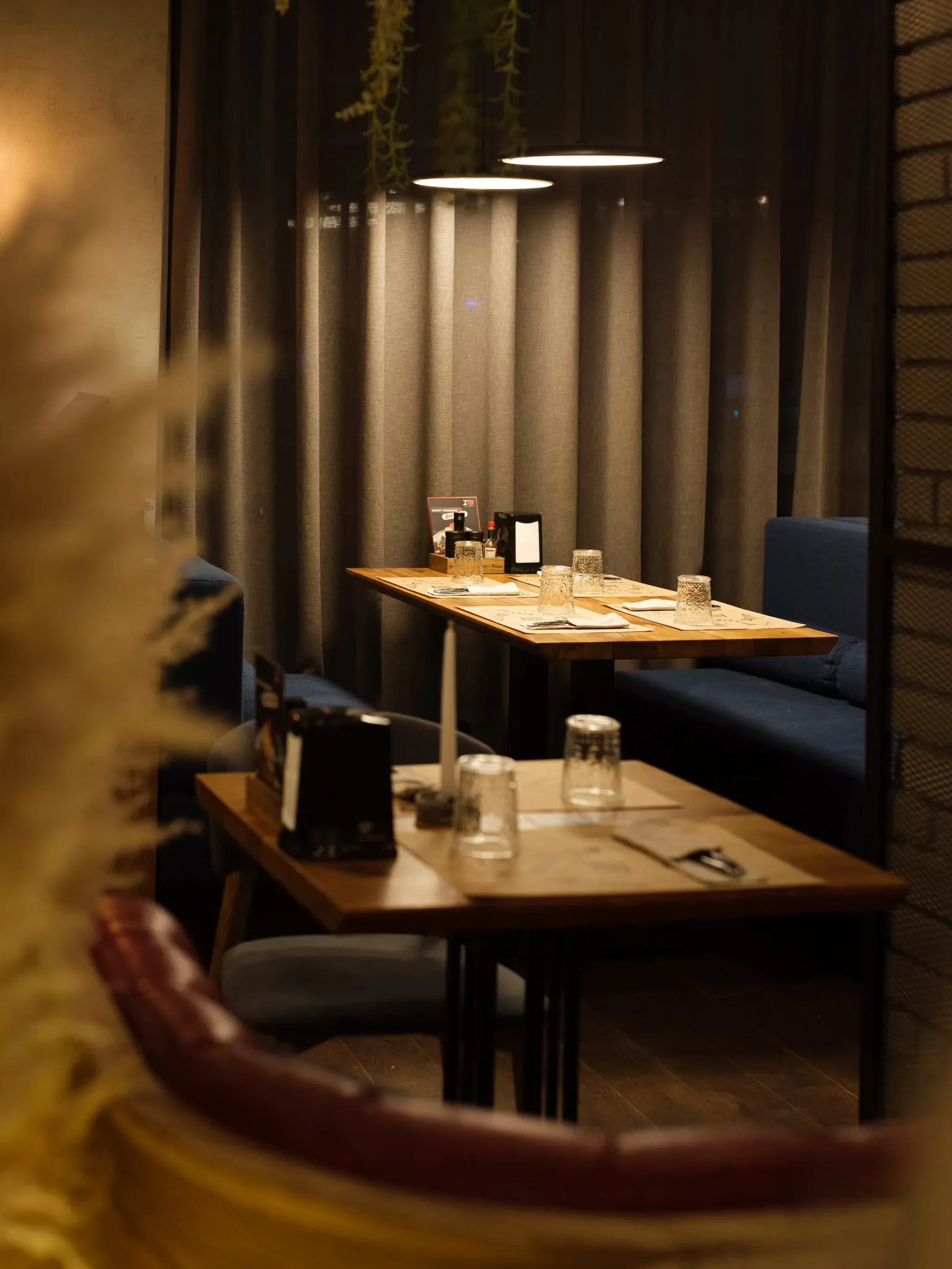 New York Street Pizza Zebra