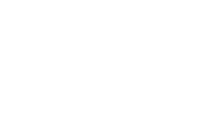 Fortex Logo