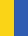 Ukraine Flag