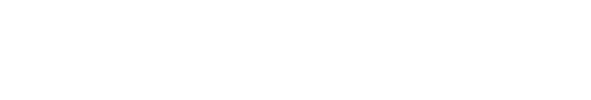 Lancer Skincare logo