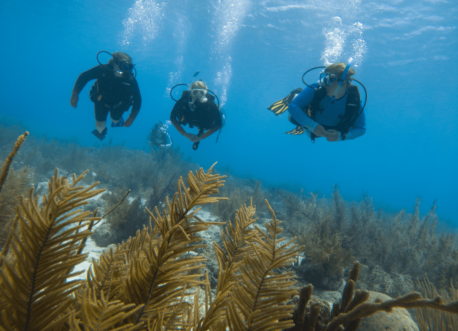Underwater Adventure group in Bonaire