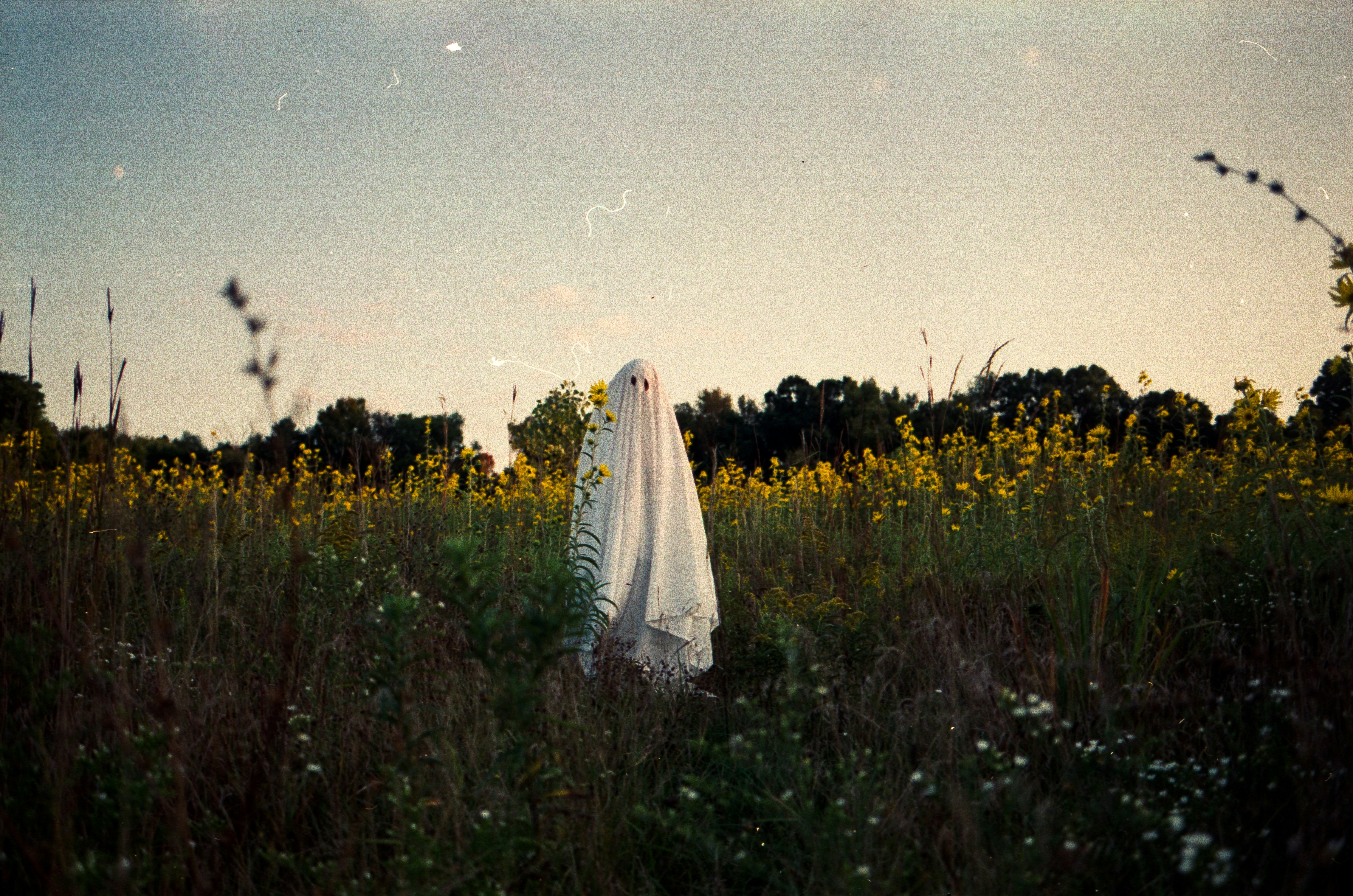 Figure in white sheet stands in yellow flower field